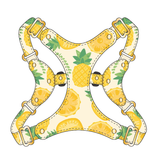 Brights Harness - Yellow