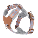 Reflective Breathable Harness & Lead Set for Small Dogs - Grey