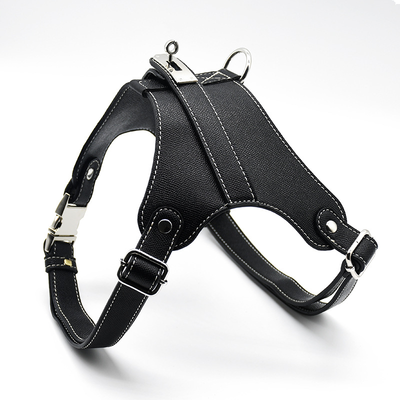 Harness in Earth Tones