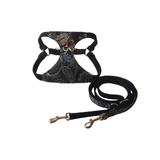 Black Set for Small Dogs - Black