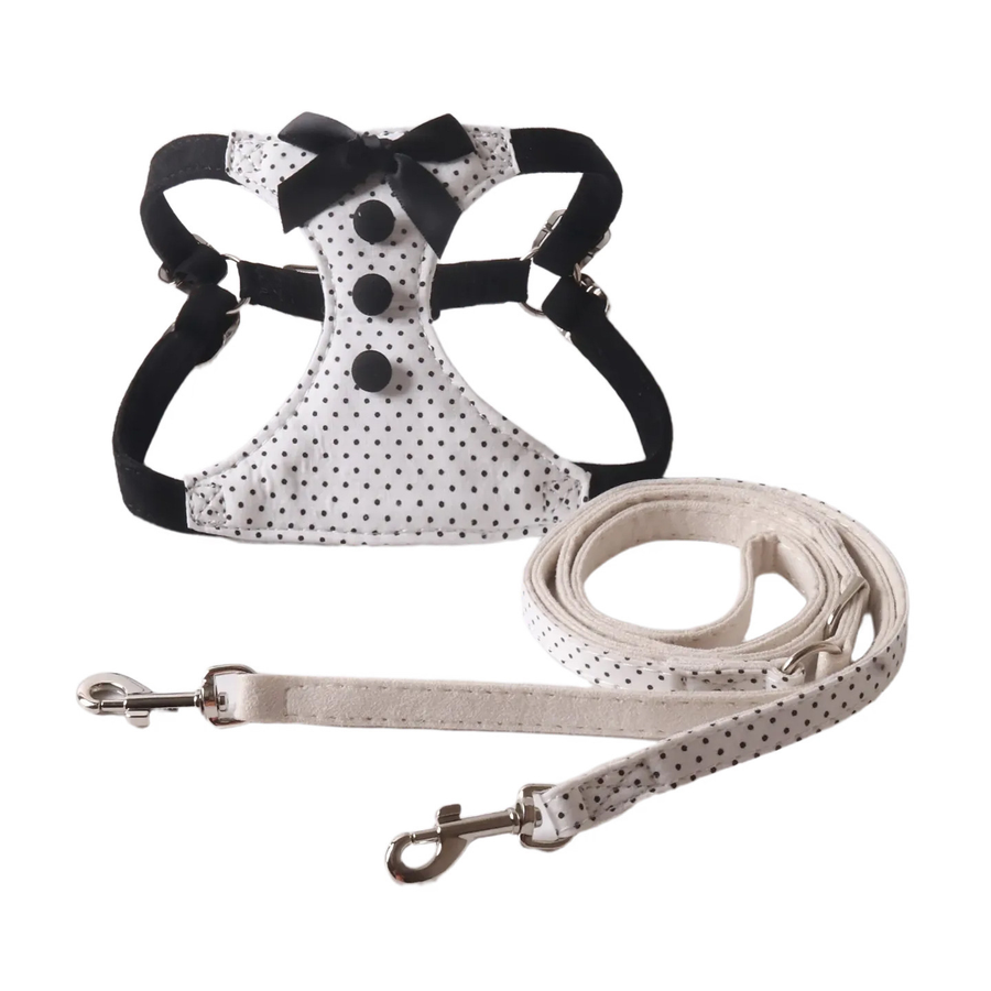Black Vest for Small Dogs Set - White