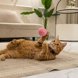 Interactive Cat Toy - Touch & Sound