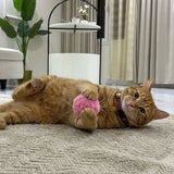 Interactive Cat Toy - Touch & Sound