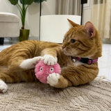 Interactive Cat Toy - Touch & Sound