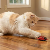 Crazy Critter Chase Mini