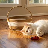 Crazy Critter Chase Mini