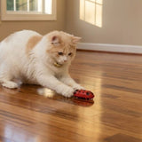 Crazy Critter Chase Mini