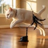 Hands-Free Interactive Bird/Feather Wand