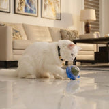 Minty Fresh Wall Ball