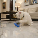 Minty Fresh Wall Ball