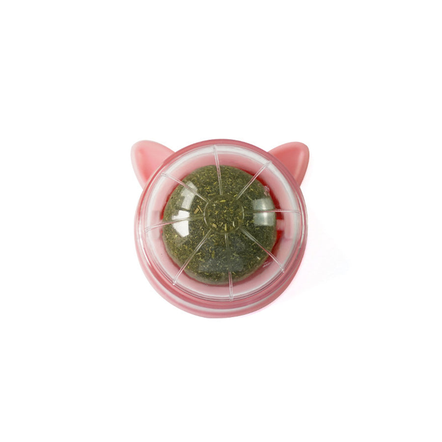 Minty Fresh Wall Ball Dental Toy