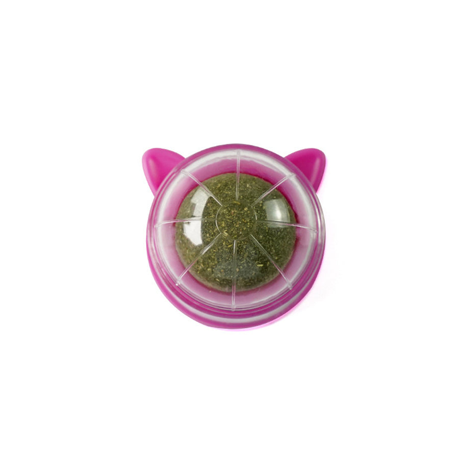 Minty Fresh Wall Ball Dental Toy