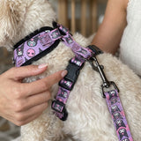 Reflective Mesh Harness & Lead Set