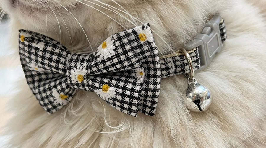 Plaid Dog Collar with Detachable Bow Tie - Plaid | PAWD