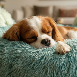Anti-Anxiety Fluffy Pet Bed with Tail & Ear Design