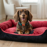 Luxurious Cosy Nest Candy Kennel Large Pet Bed