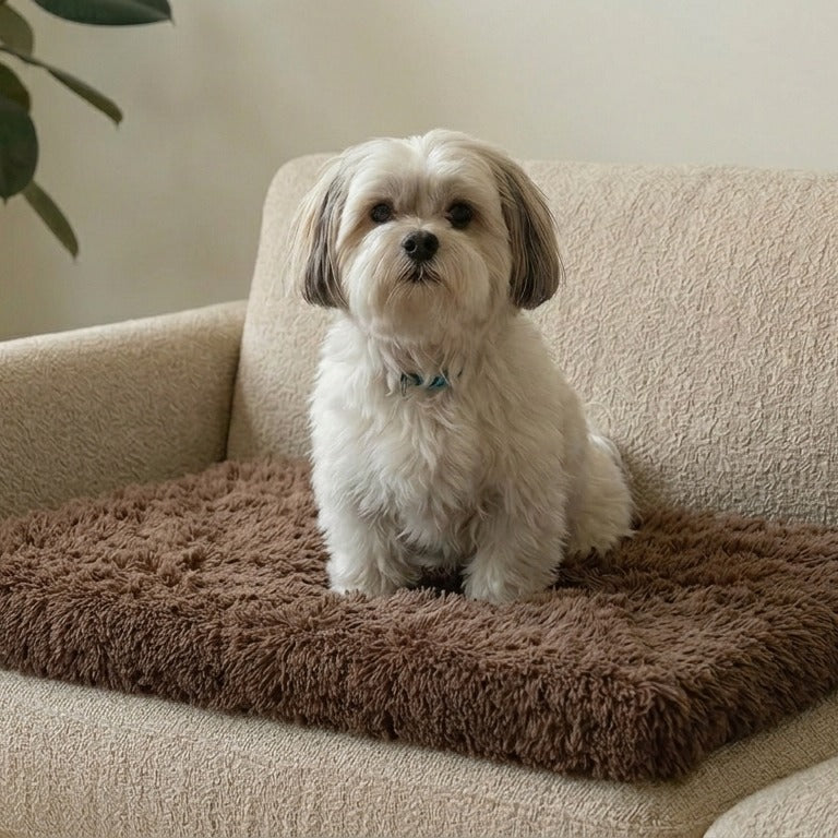 100% Cotton Plush Cushion Pet Bed - Signature Edition - Cotton | PAWD