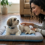 100% Cotton Plush Cushion Pet Bed - Signature Edition