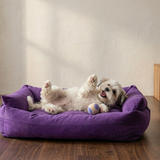 3-in-1 Soft Corduroy Coral Fleece Pet Mat