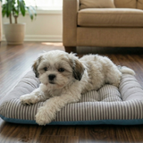 100% Cotton Plush Cushion Pet Bed - Signature Edition