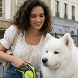 Classic Retractable Leash - 5M Reach