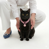 Neon Macaron Bell Dog Collar