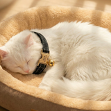 Deluxe Winter Warmth Non-Slip Pet Bed