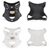 Classic Dog Harness - Adjustable - 3
