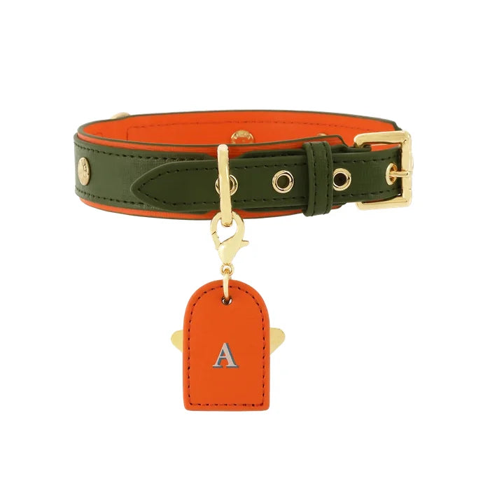 Adjustable Black Dog Collar by Pawd