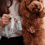 Heritage Leather Harness & Lead Set - 6