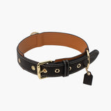 Dog Collar Charm Leather Dog Collar - View 3
