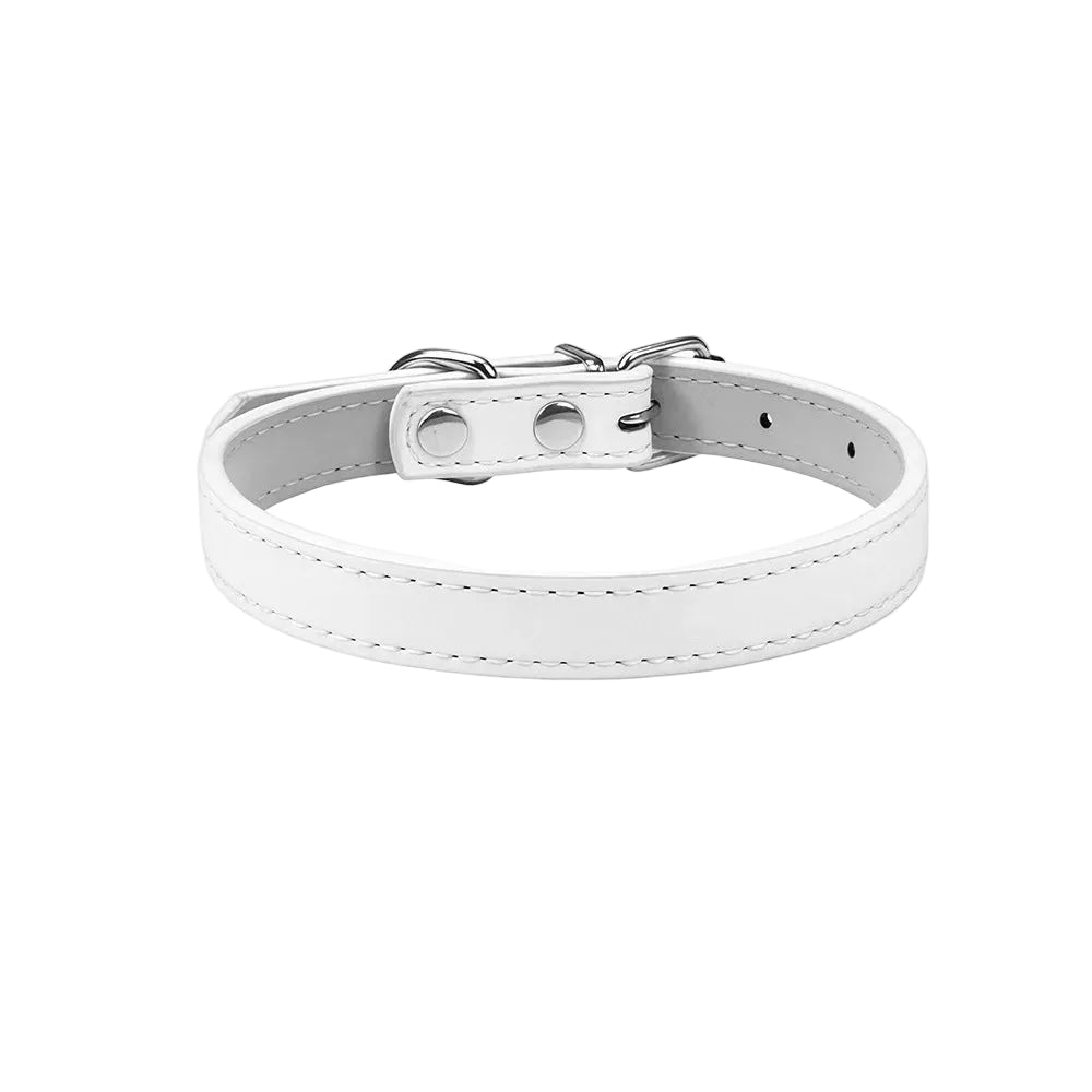 Adjustable White Dog Collar by Pawd