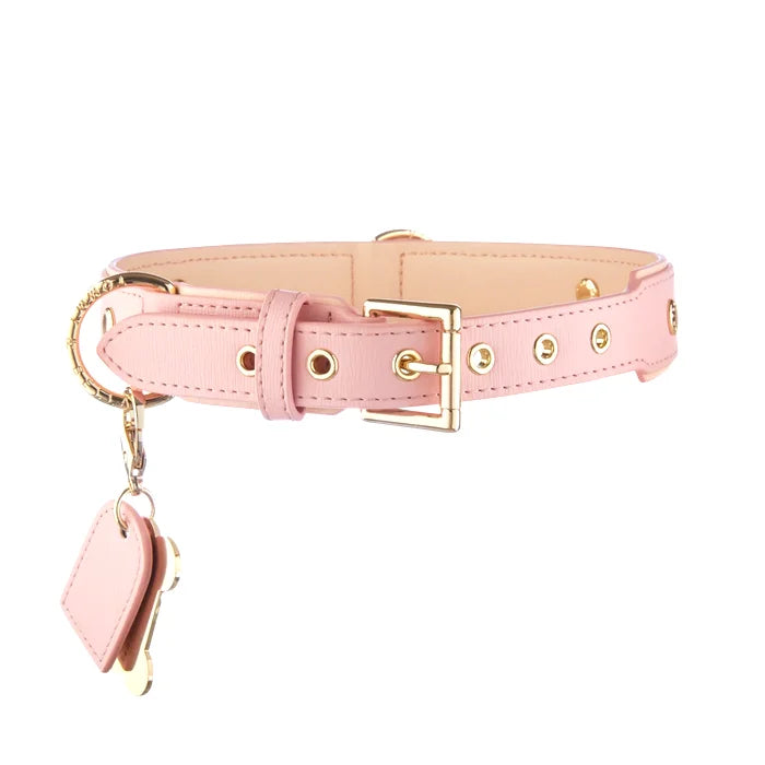 Adjustable Pink Dog Collar by Pawd