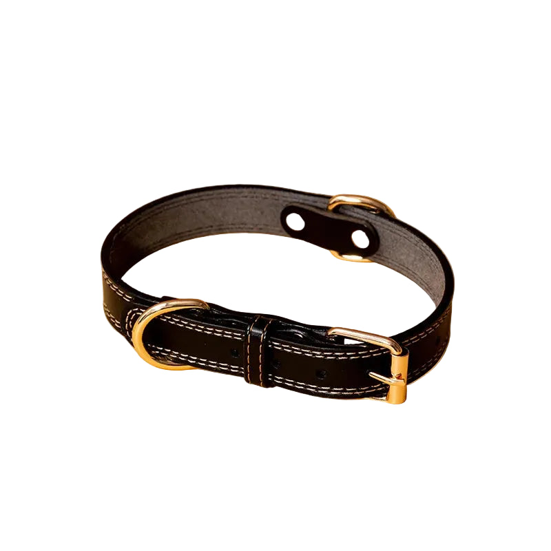 Adjustable Black Dog Collar by Pawd