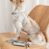 Heritage Leather Harness & Lead Set - 3