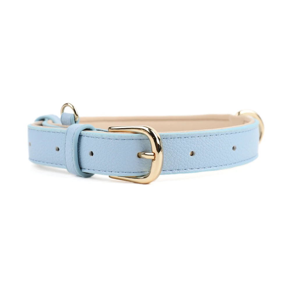 Adjustable Blue Dog Collar by Pawd