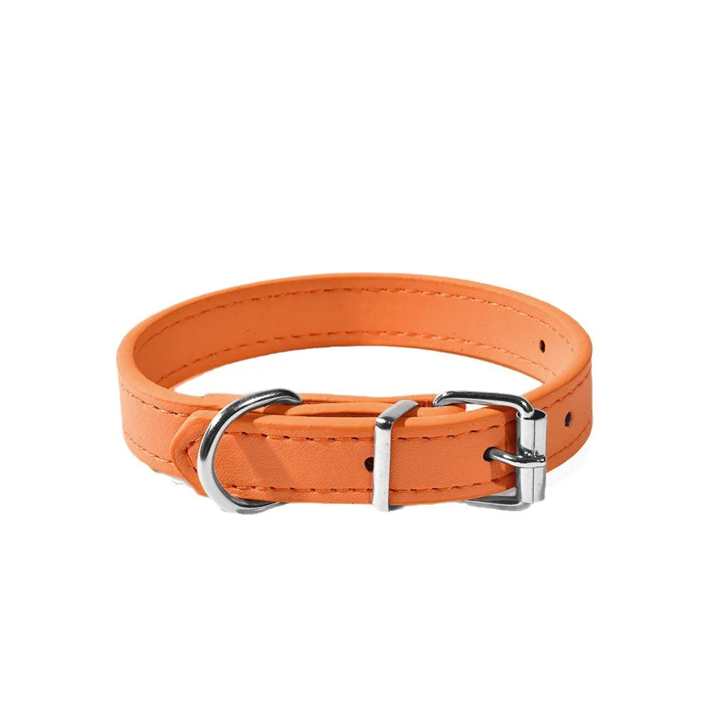 Adjustable Orange Dog Collar by Pawd