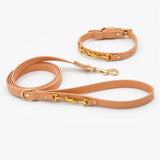 Luxury Leather Dog Collar And Leash - View 1