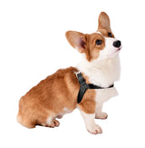 Eco Dog Harness - Vegan Leather - 5