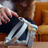 Heritage Leather Harness & Lead Set - 4