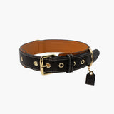 Adjustable Black Genuine Leather Dog Collar by Pawd
