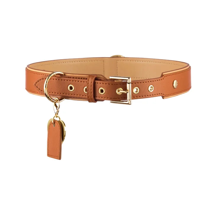 Adjustable Brown Dog Collar by Pawd