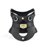 Classic Dog Harness - Adjustable - Black