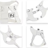 Classic Dog Harness - Adjustable - White
