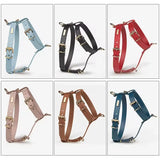 Heritage Leather Harness & Lead Set - 2