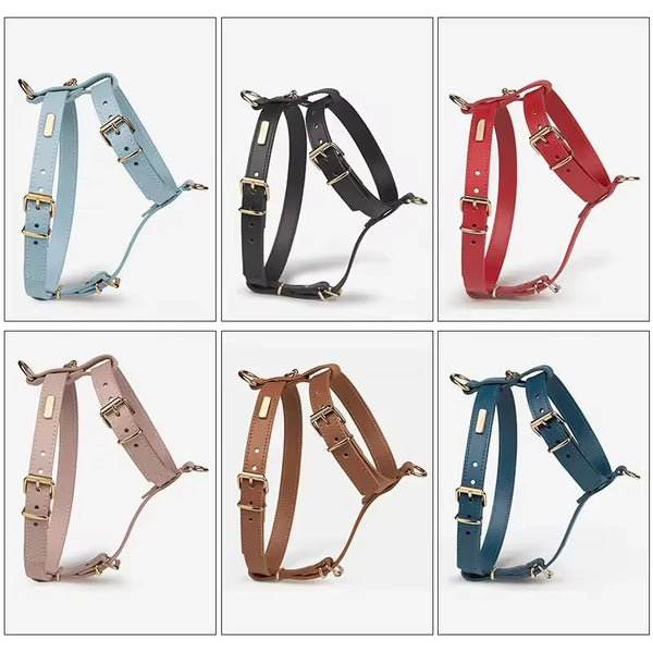 Heritage Leather Harness & Lead Set - 2