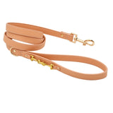 Adjustable Leash-Orange Dog Collar by Pawd