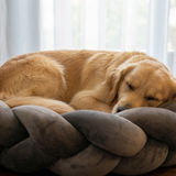 Velvet Cotton Braided Macaron Pet Bed
