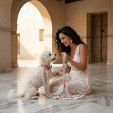 Rainbow Love Detachable Bow