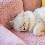 Serene Spot Cosy Sofa Pet Bed - Deluxe